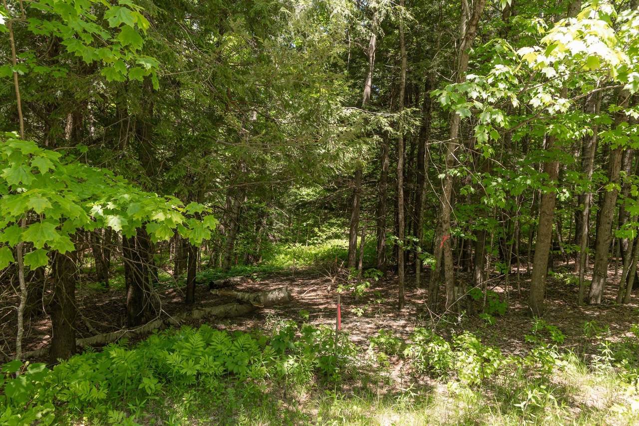 1243 North Hollow Road - Photo 1