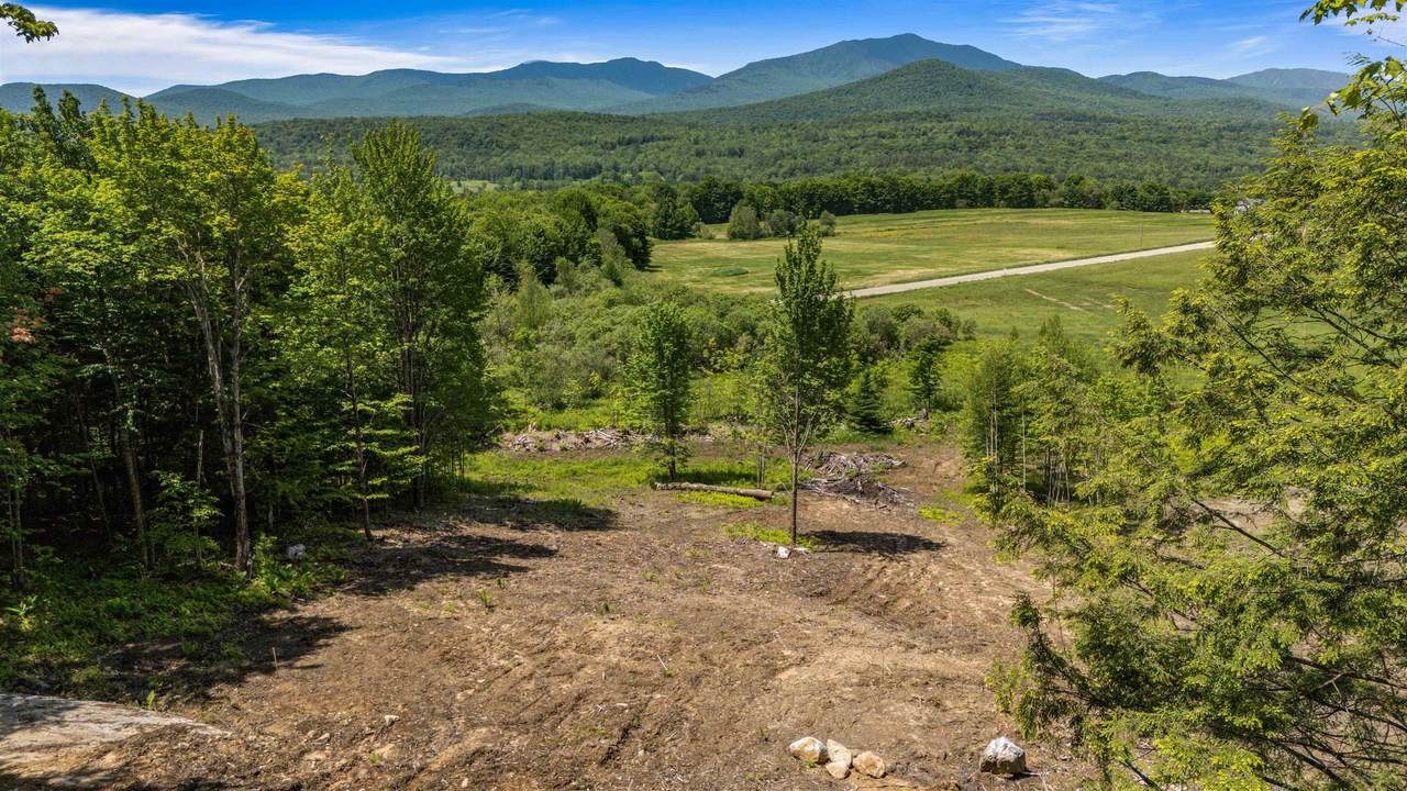 251 White Birch Road - Photo 1