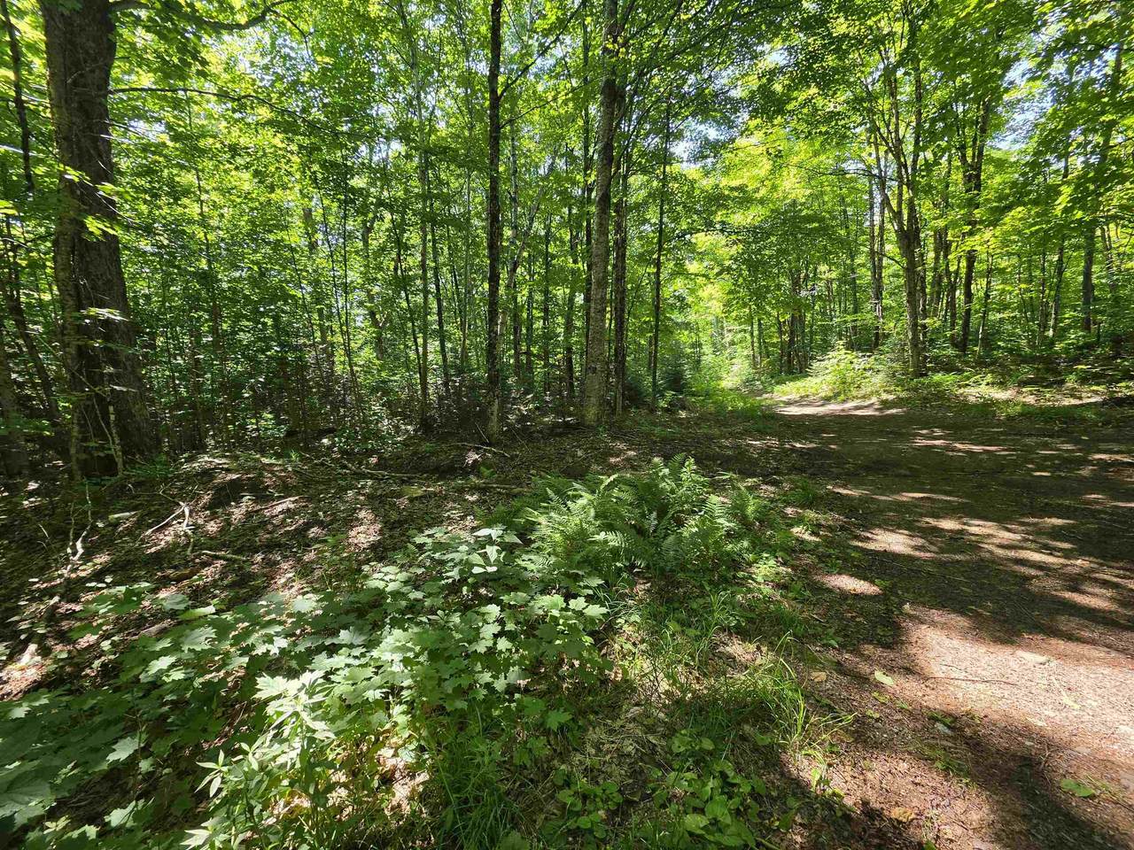 1700 Arcadia Lane - Photo 1