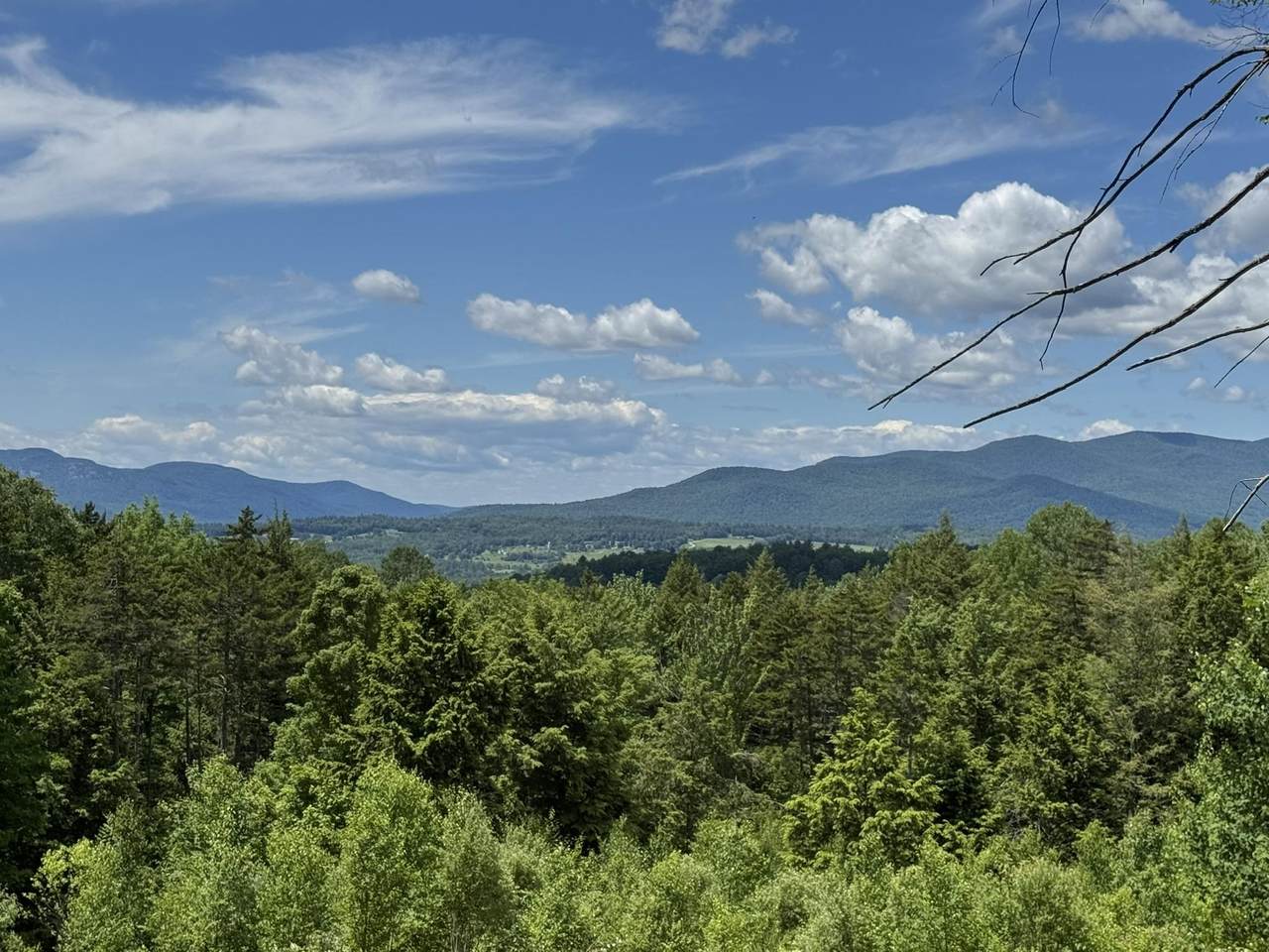 157 Bear Creek Lane - Photo 1