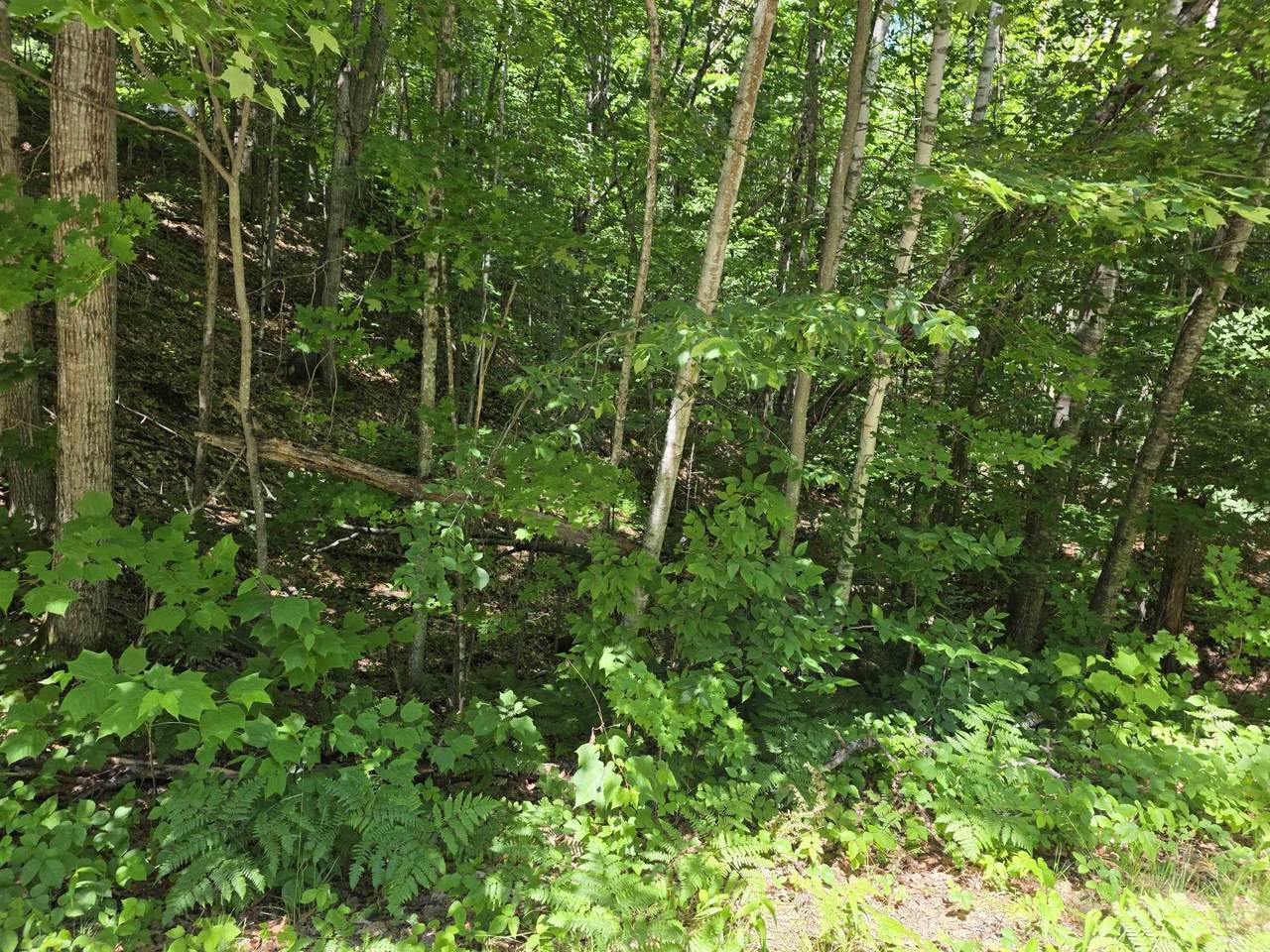 https://bt-photos.global.ssl.fastly.net/nneren/1280_boomver_1_5096412-2.jpg
