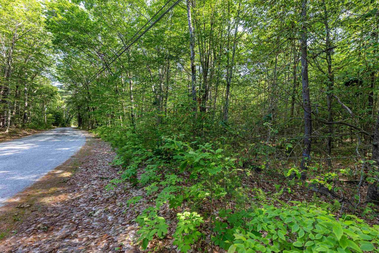 Lot 29.1 & 59 South Road - Photo 1