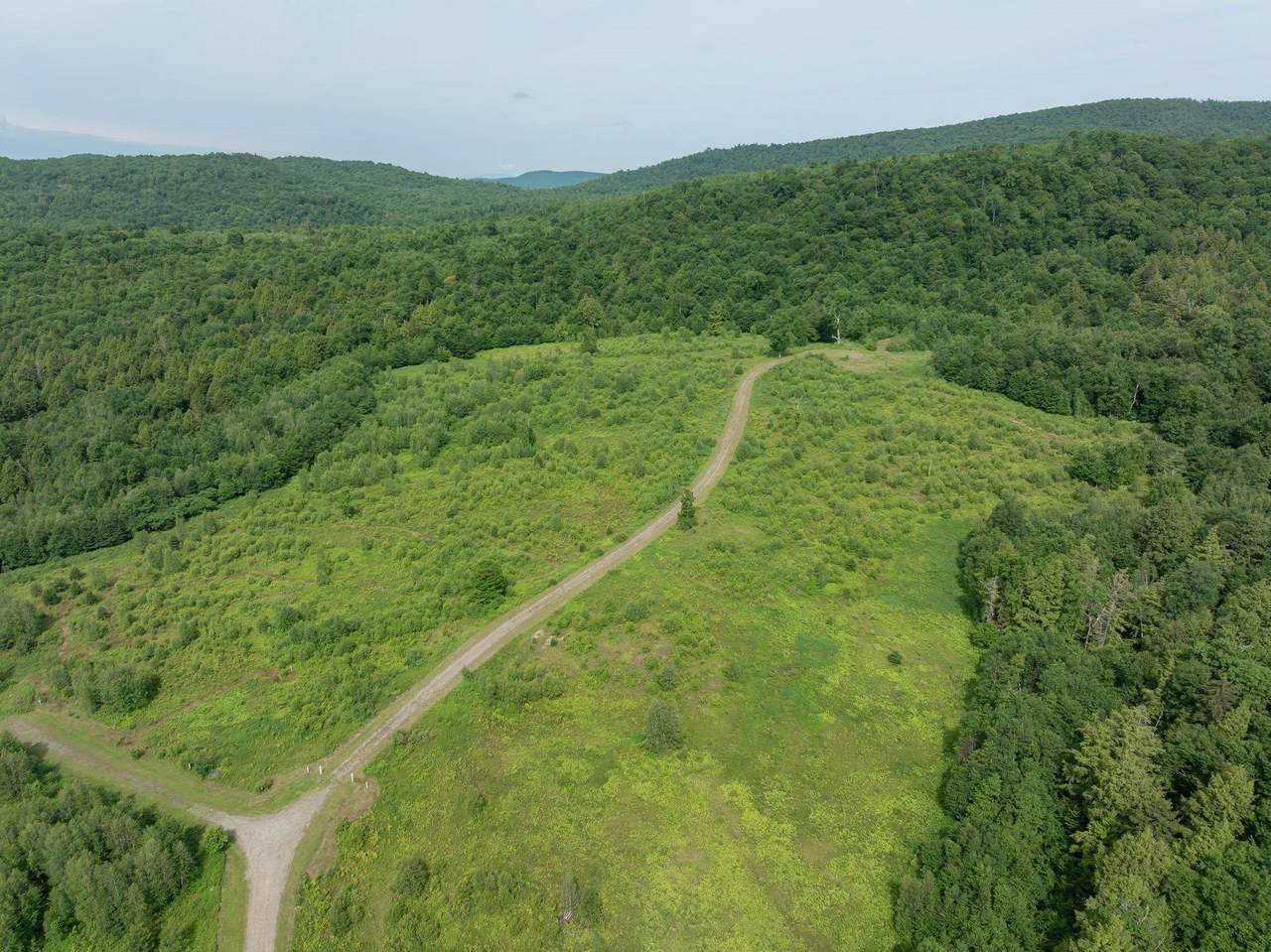 00 Birch Tree Lane - Photo 1