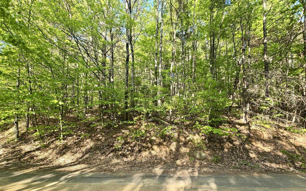 00 Isaac Fox Drive - Photo 1