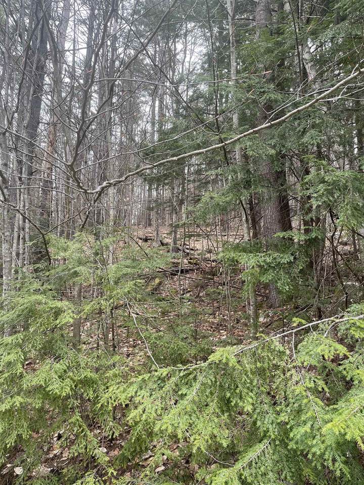 10-4-2 David Thompson Drive - Photo 1