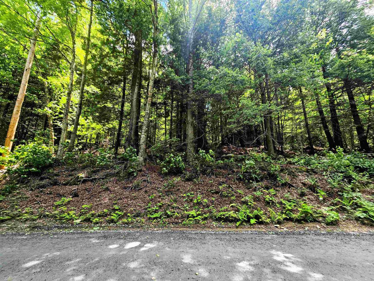  Smead Road - Photo 1