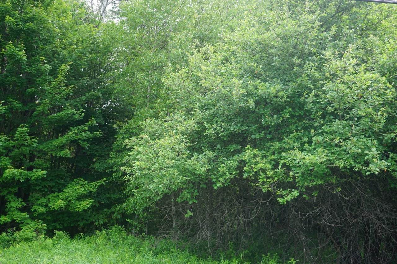 https://bt-photos.global.ssl.fastly.net/nneren/1280_boomver_1_5097919-2.jpg