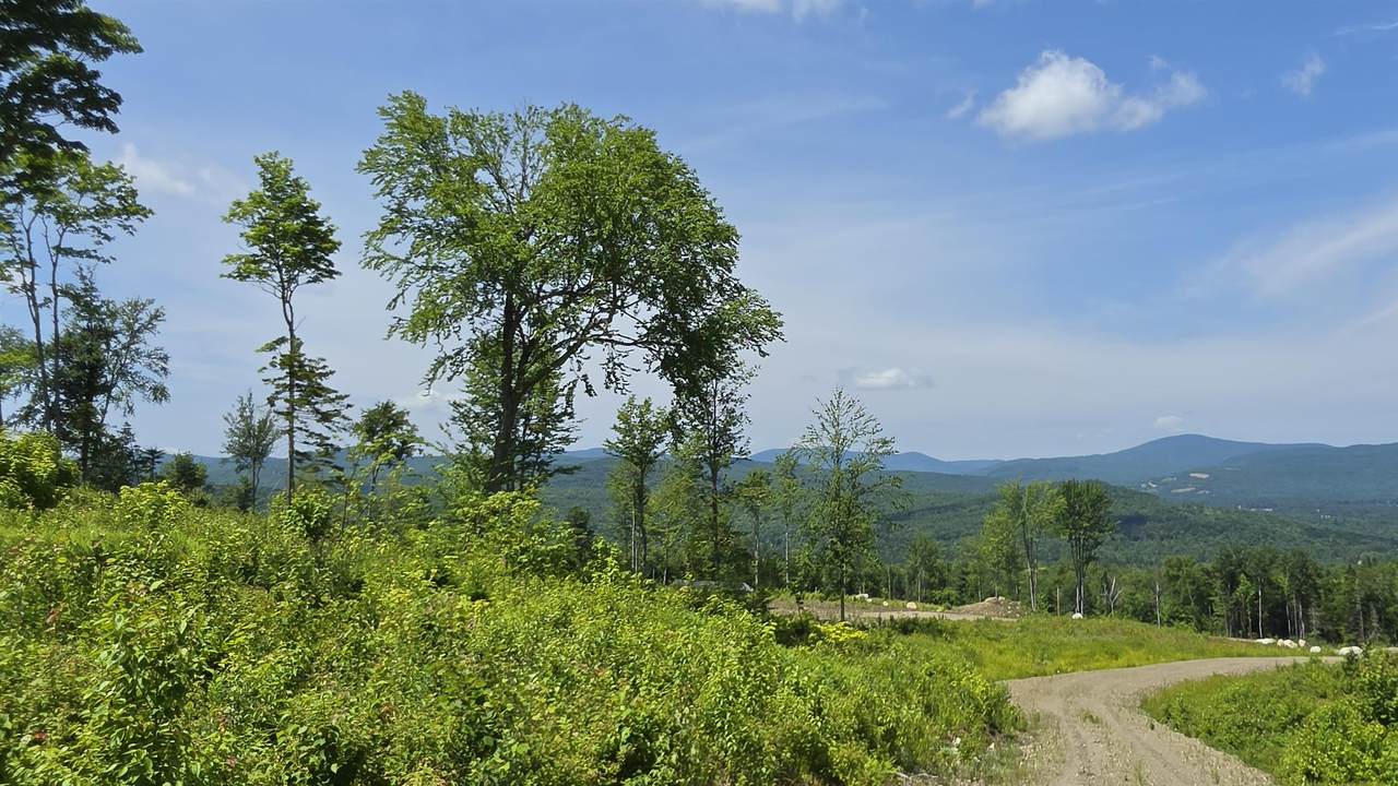 Map R6 Lot 1C Deer Crossing Way - Photo 1