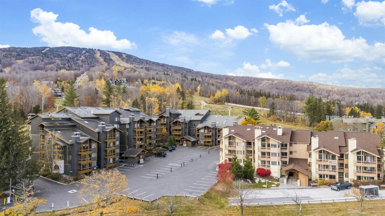 778 Stratton Mountain Access Road - Photo 1