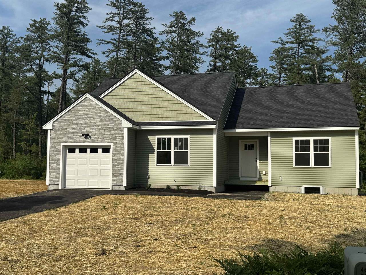 60 Friedman Lane - Photo 1