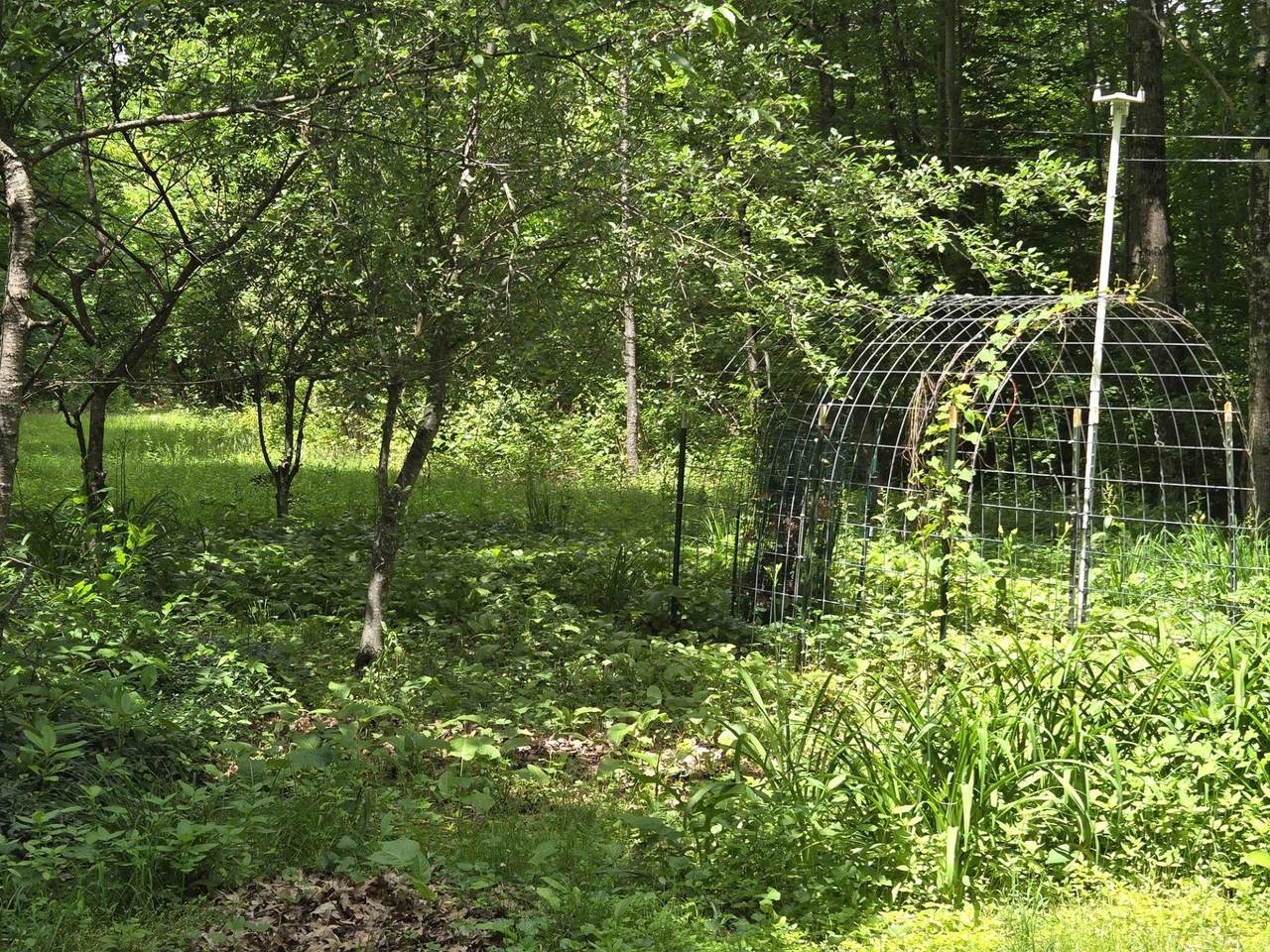 208 Nh Route 3A - Photo 1