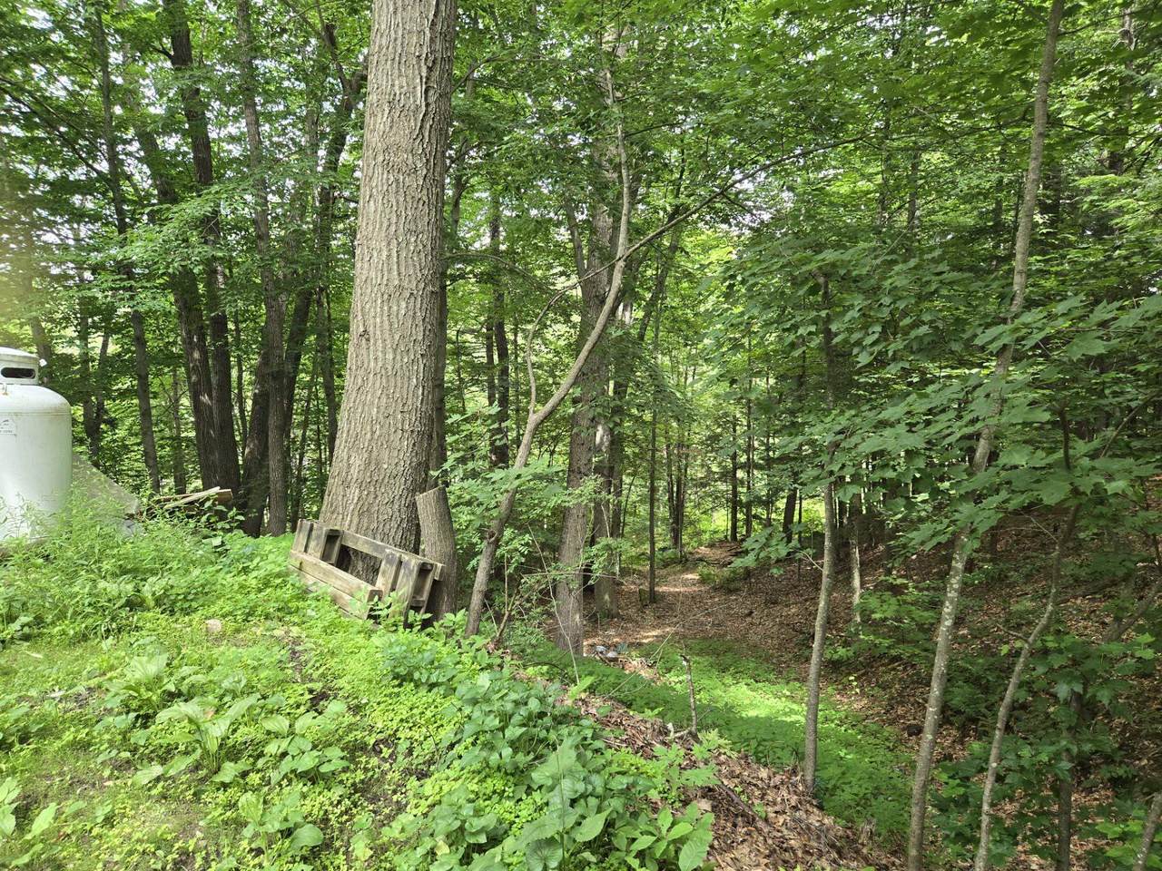 https://bt-photos.global.ssl.fastly.net/nneren/1280_boomver_1_5099472-2.jpg