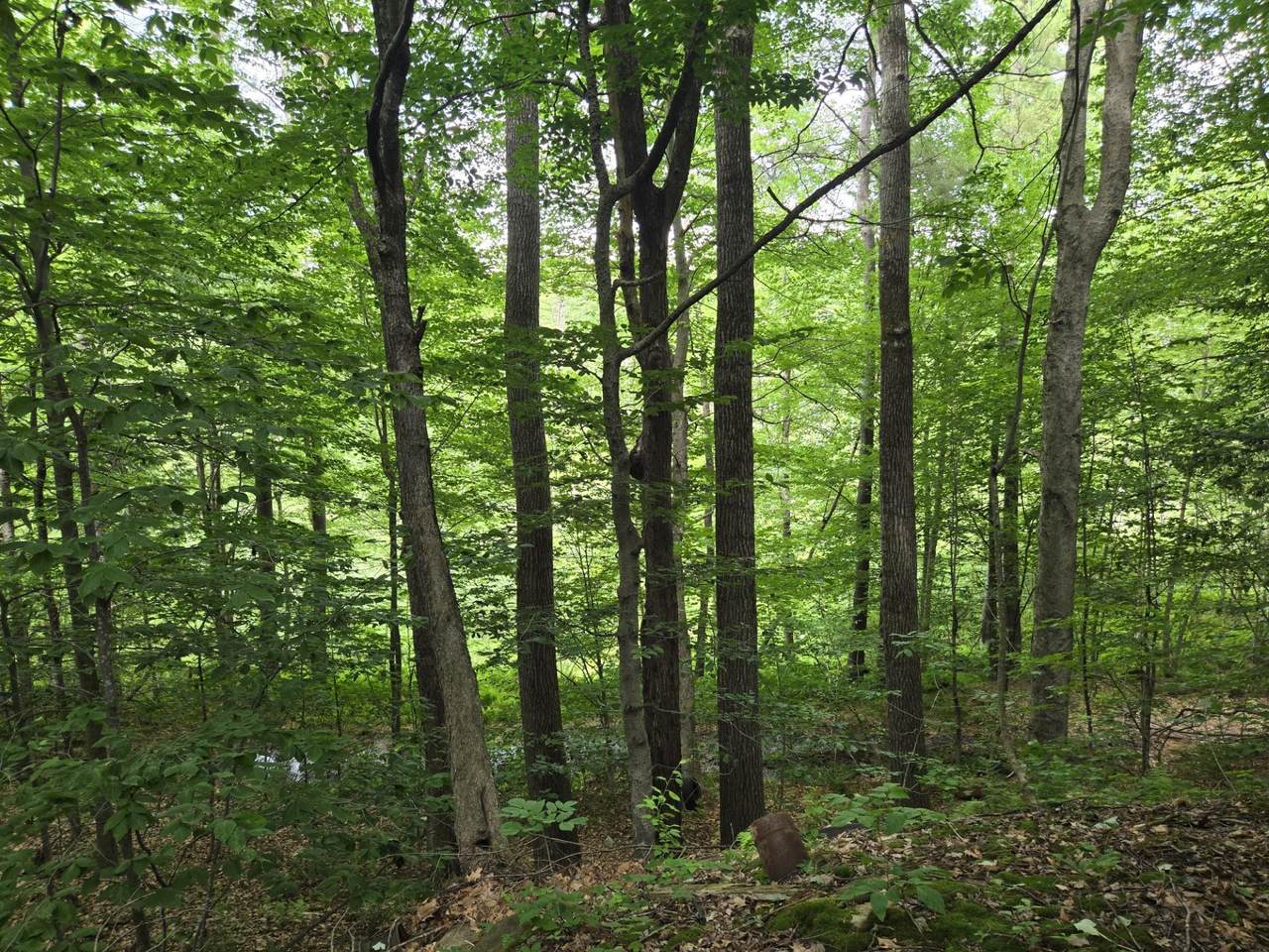 https://bt-photos.global.ssl.fastly.net/nneren/1280_boomver_1_5099472-2.jpg