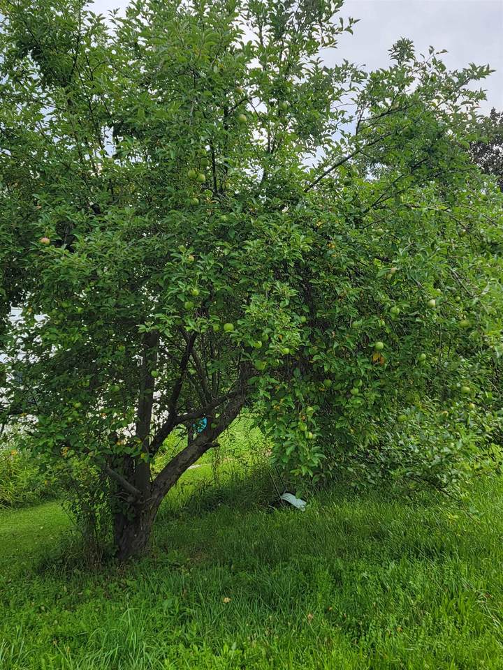 https://bt-photos.global.ssl.fastly.net/nneren/1280_boomver_1_5102053-2.jpg