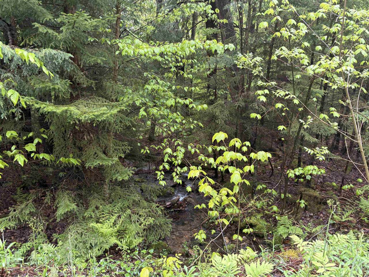 https://bt-photos.global.ssl.fastly.net/nneren/1280_boomver_1_5105218-2.jpg