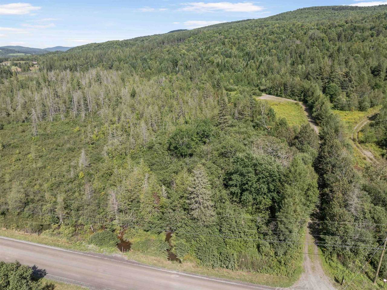  White Branch Road - Photo 1