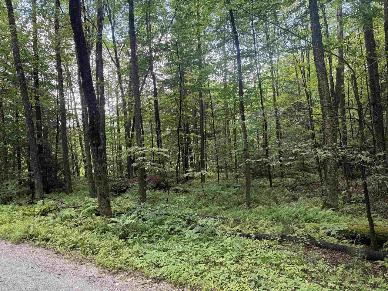  Anderson Road - Photo 1