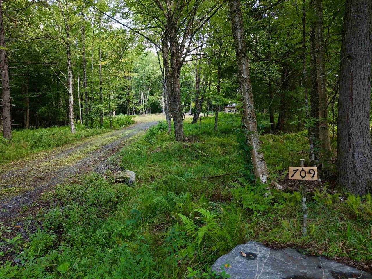 709 Bertha Springs Road - Photo 1