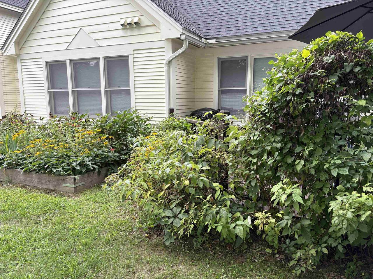 1 Eastman Farm Road - Photo 1