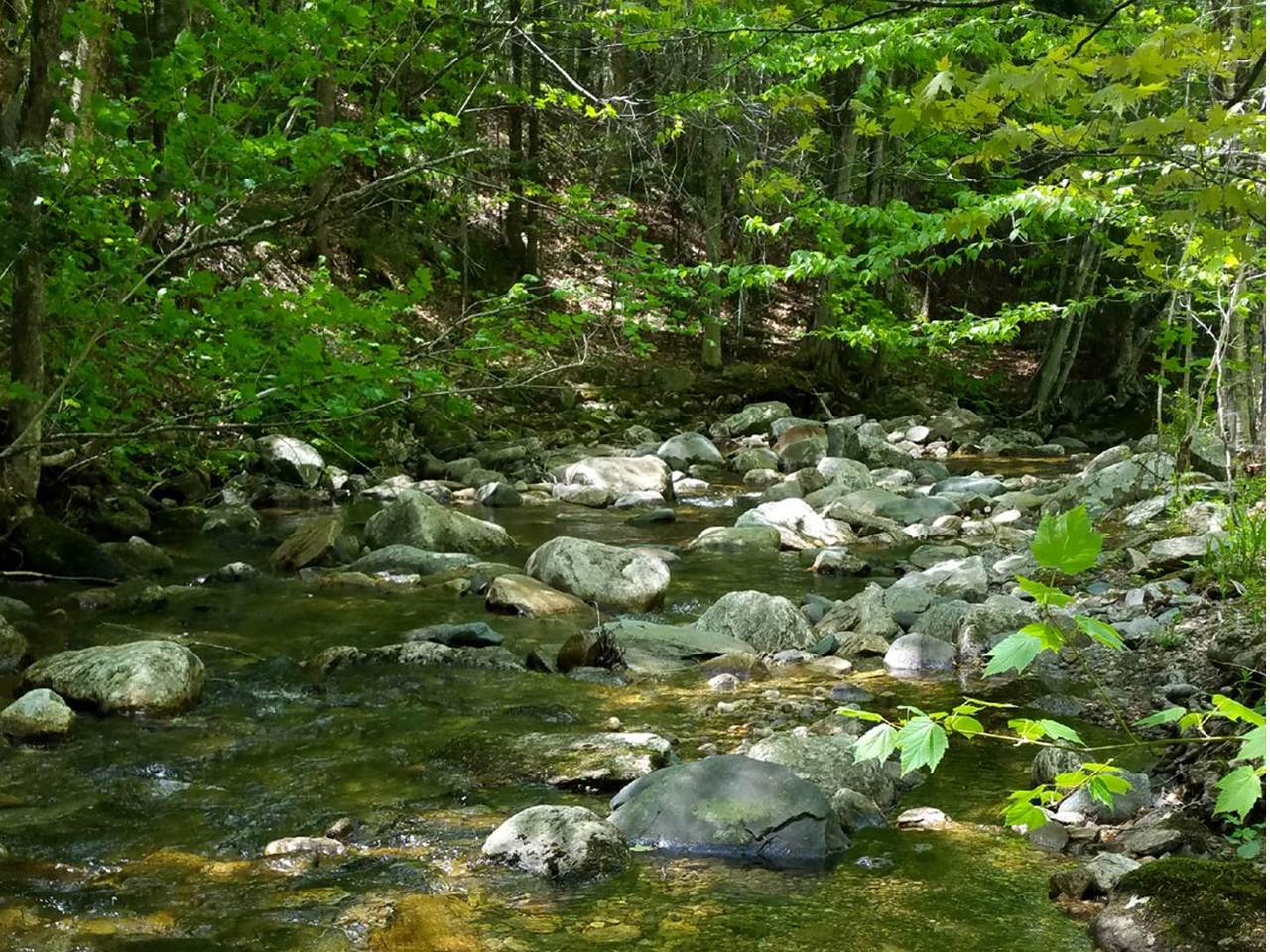100 Route 100 Highway - Photo 1