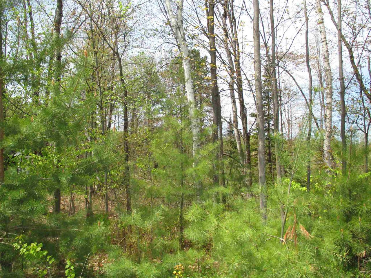 54 Cherry Lane - Photo 1