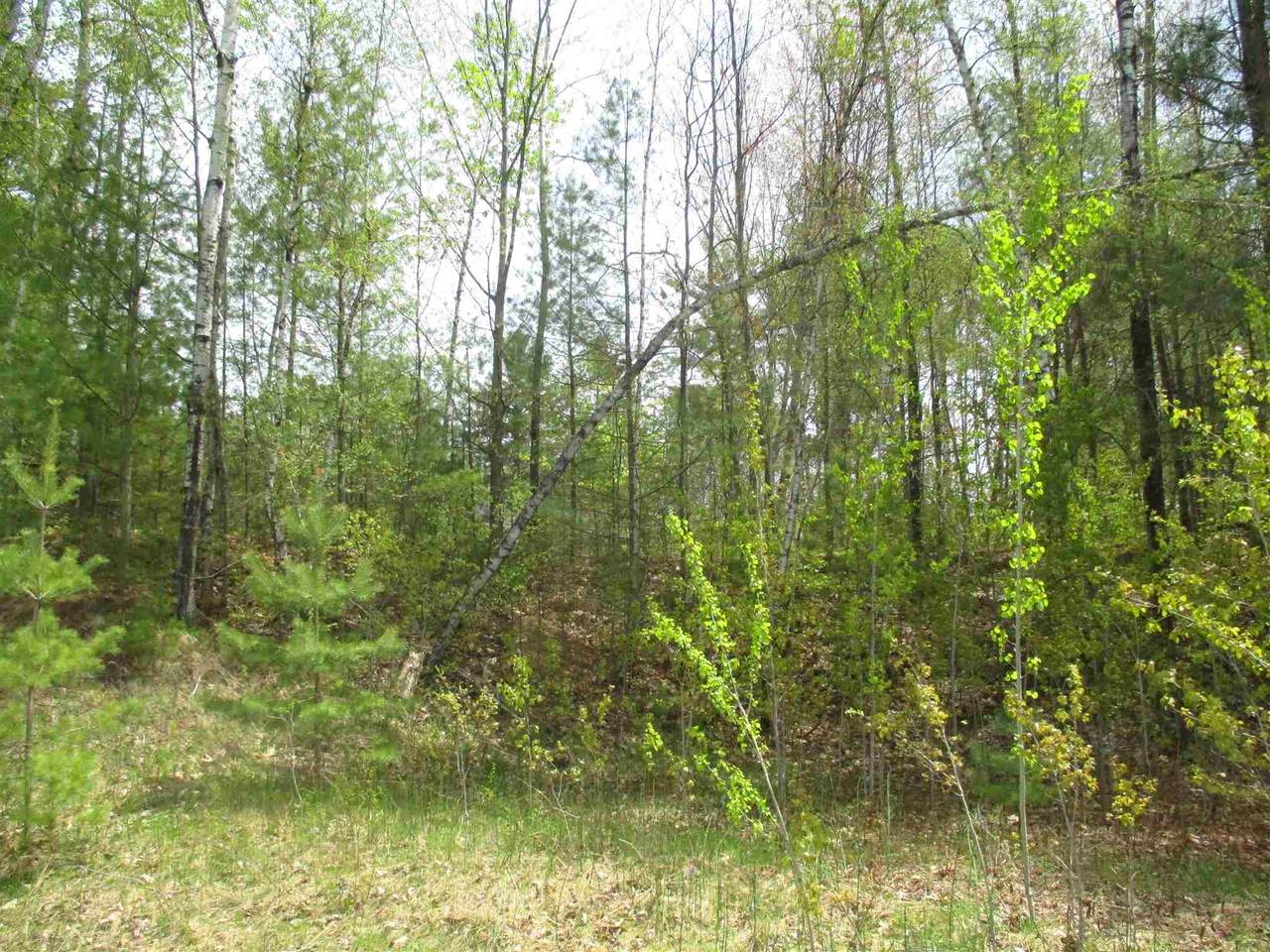 58 Cherry Lane - Photo 1