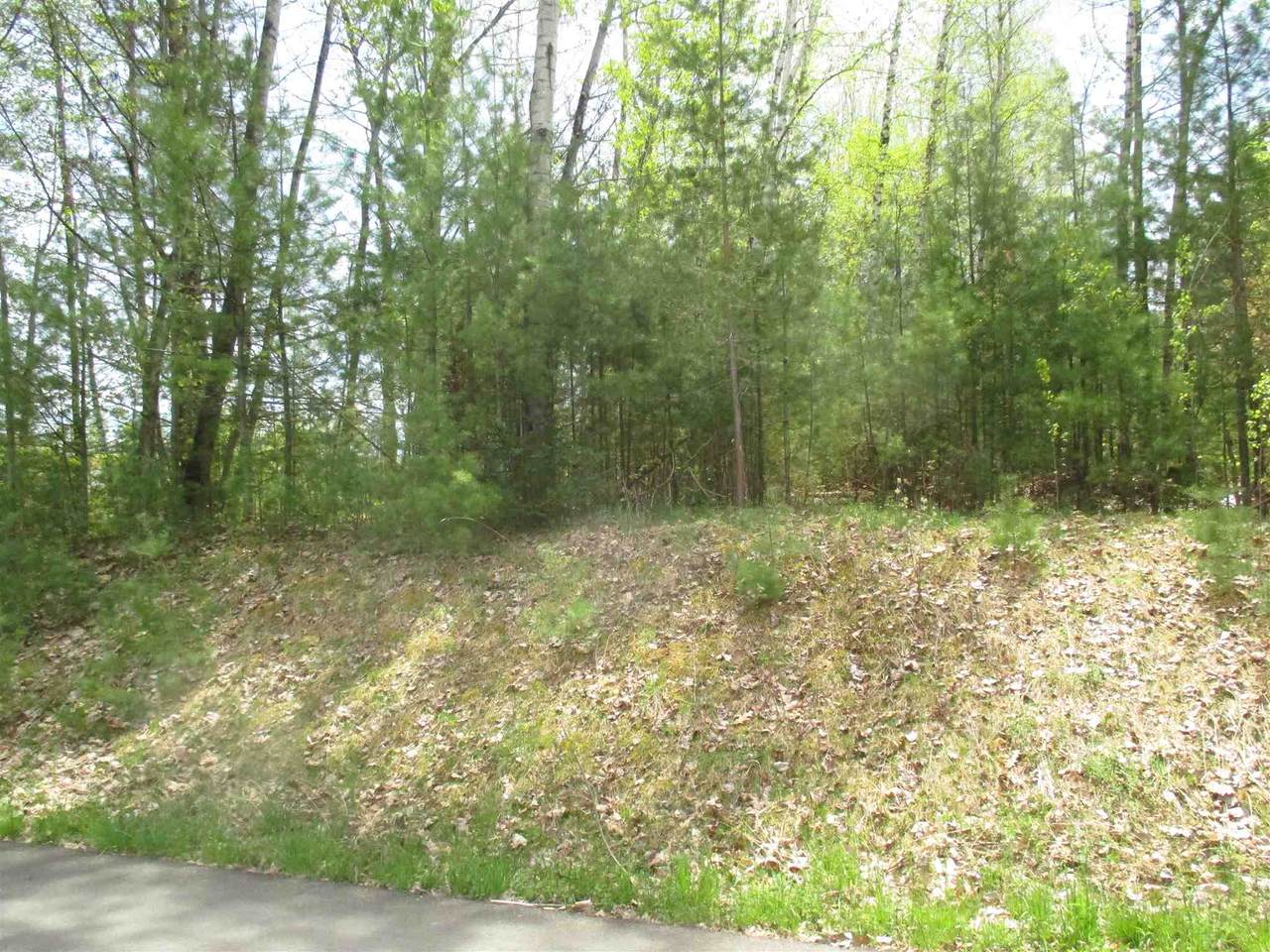 50 Cherry Lane - Photo 1