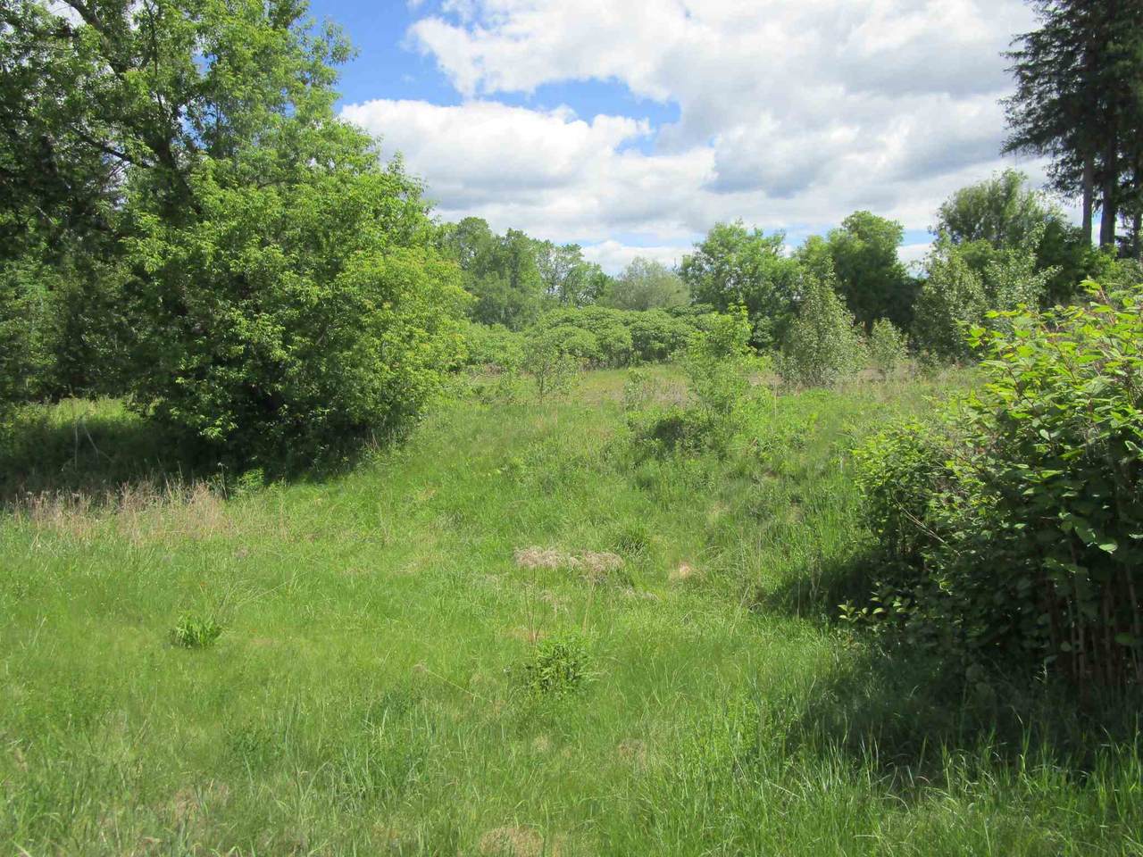 0 Back Center Road - Photo 1