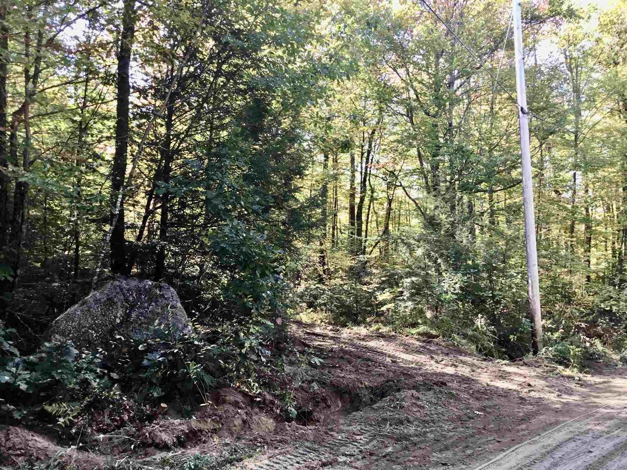 Rocky Ledge Road - Photo 1