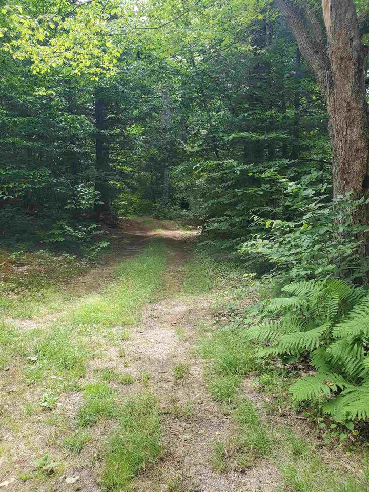 191 Moultonville Road - Photo 1