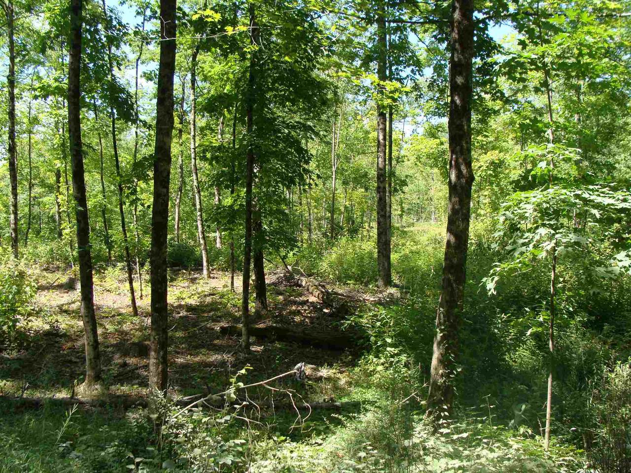 Lot 8-1 N. Pepperell Road - Photo 1