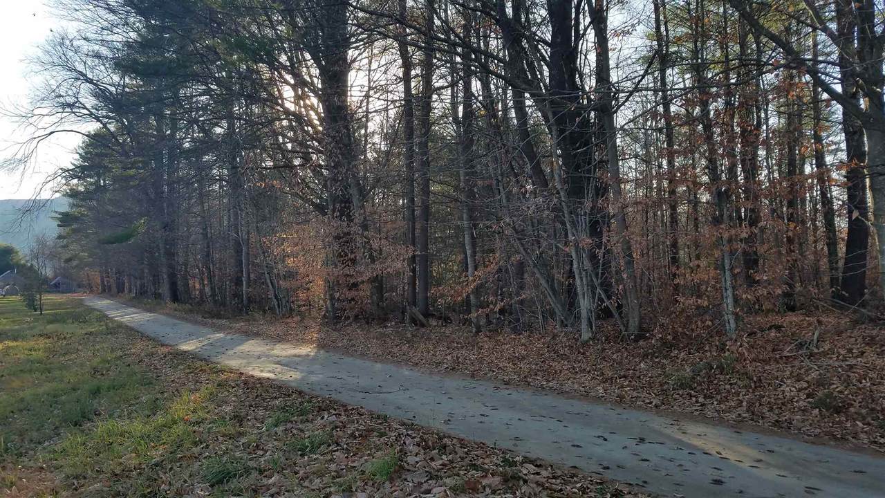 6.1ac Thompson Farm Lane - Photo 1