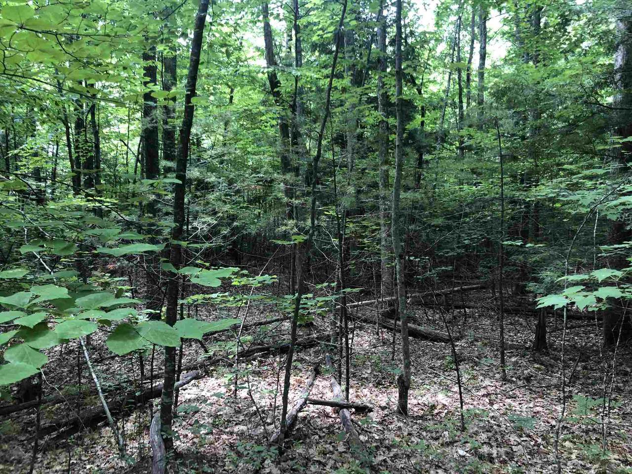 Lot 60A & 61 Berry River Road - Photo 1