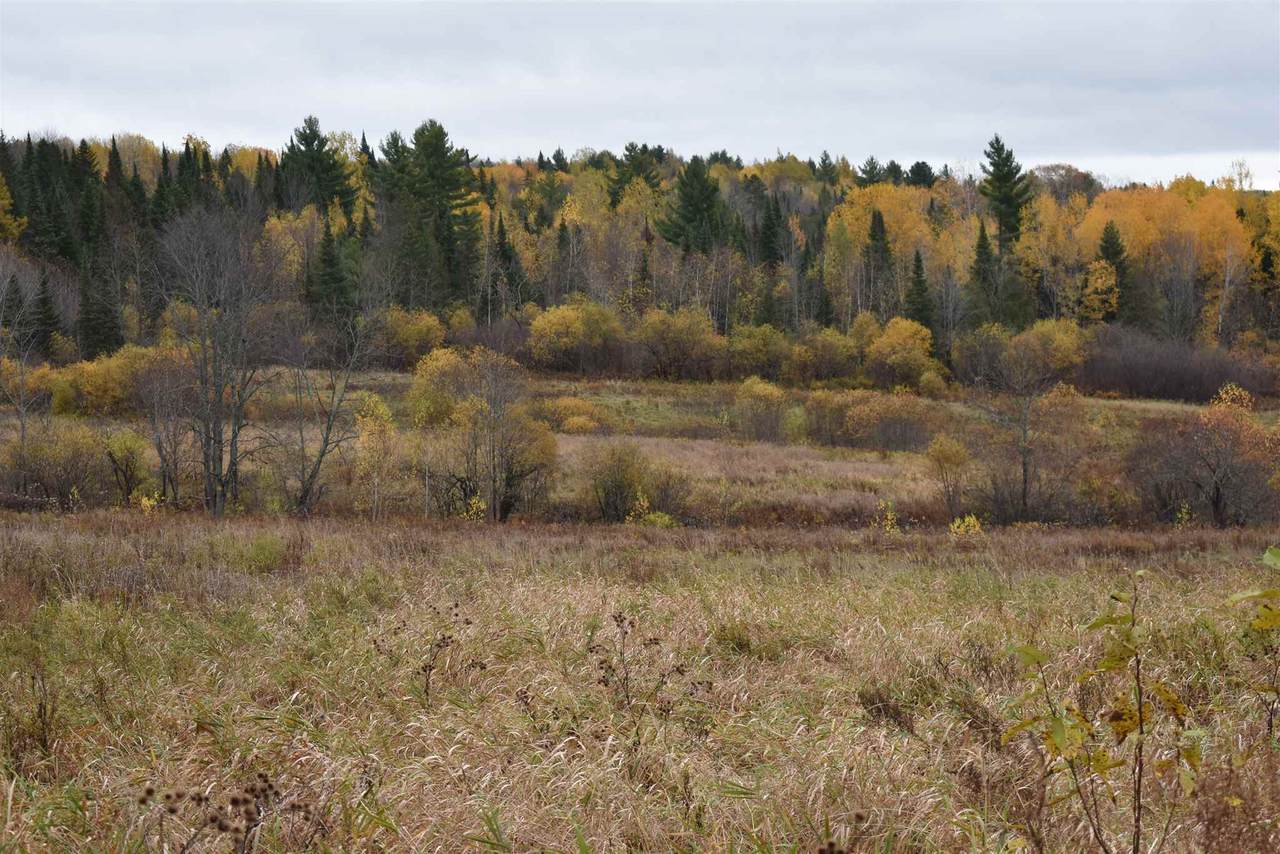 Hinman Settler Road - Photo 1
