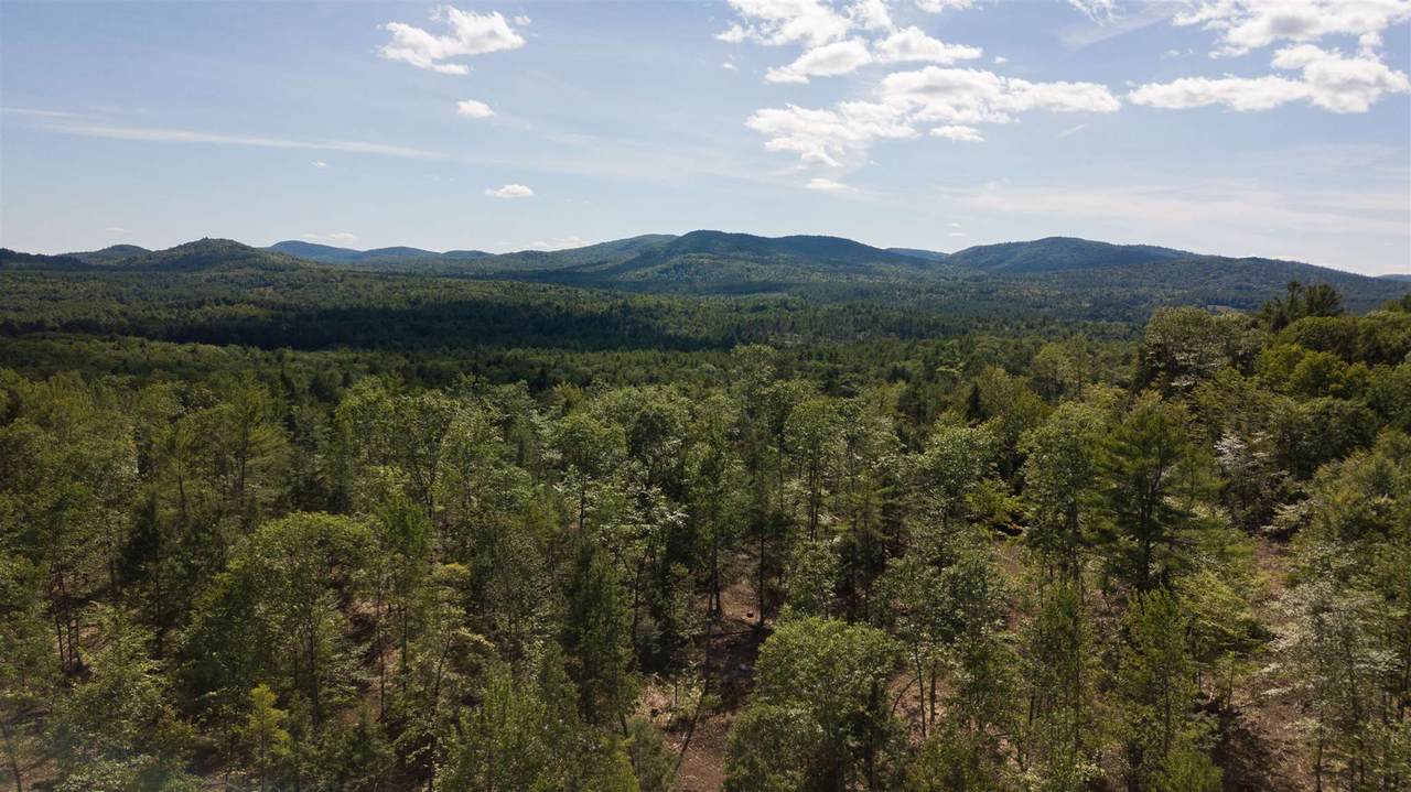 291 Old County Road - Photo 1