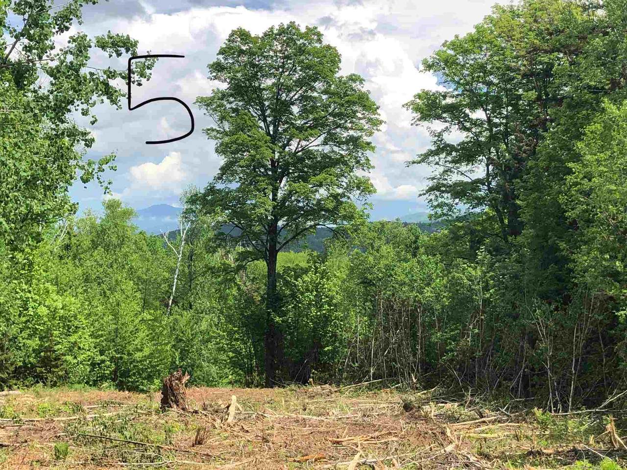 05 Turtle Hill Road - Photo 1