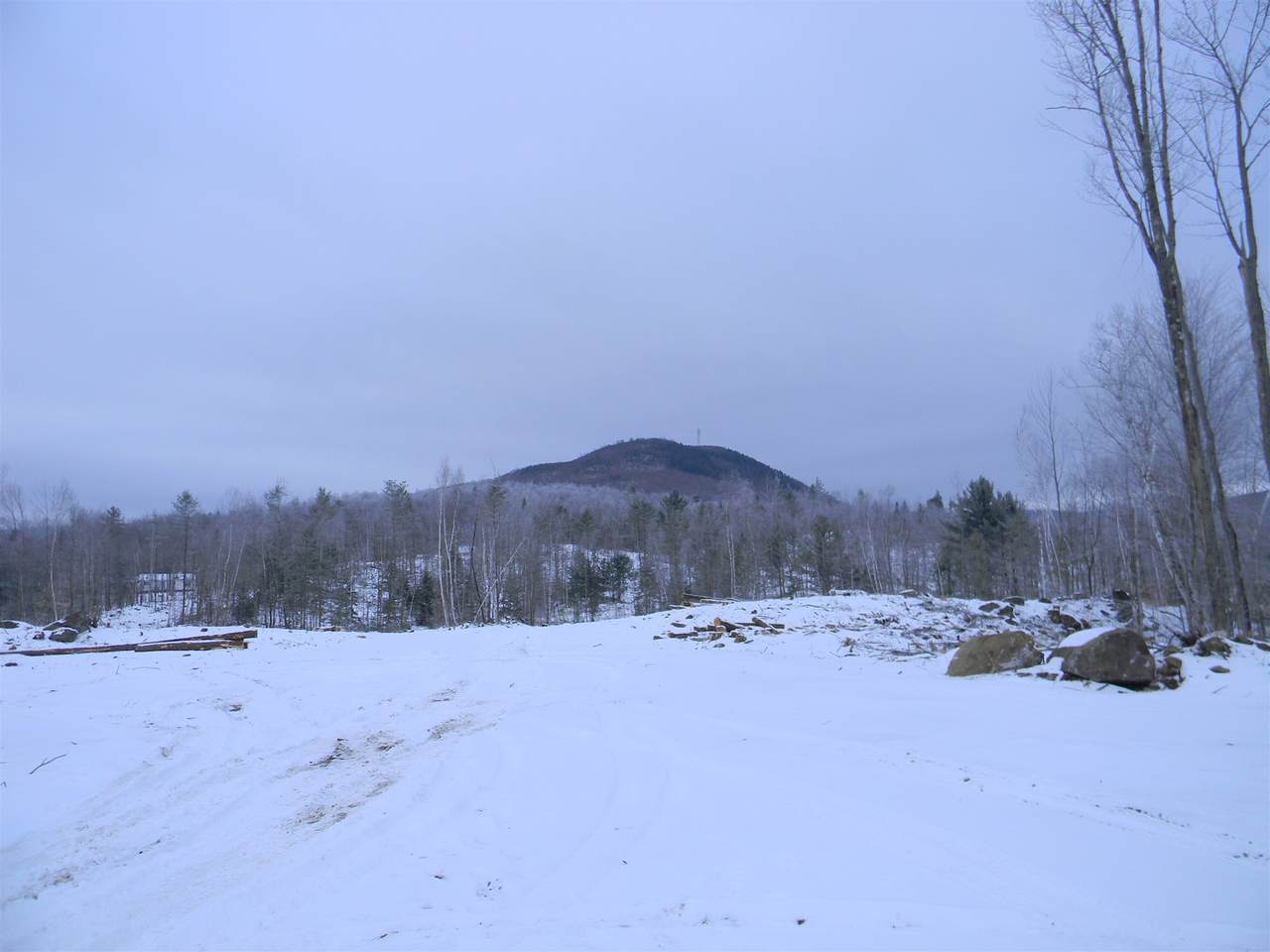 000 Maple Street - Photo 1