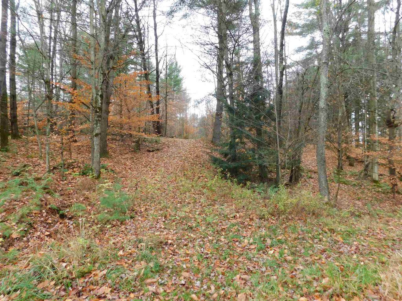 43 Heather Road - Photo 1