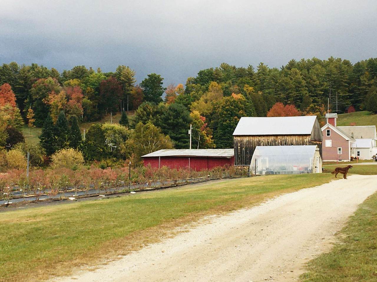 2636 Vt Route 3 - Photo 1