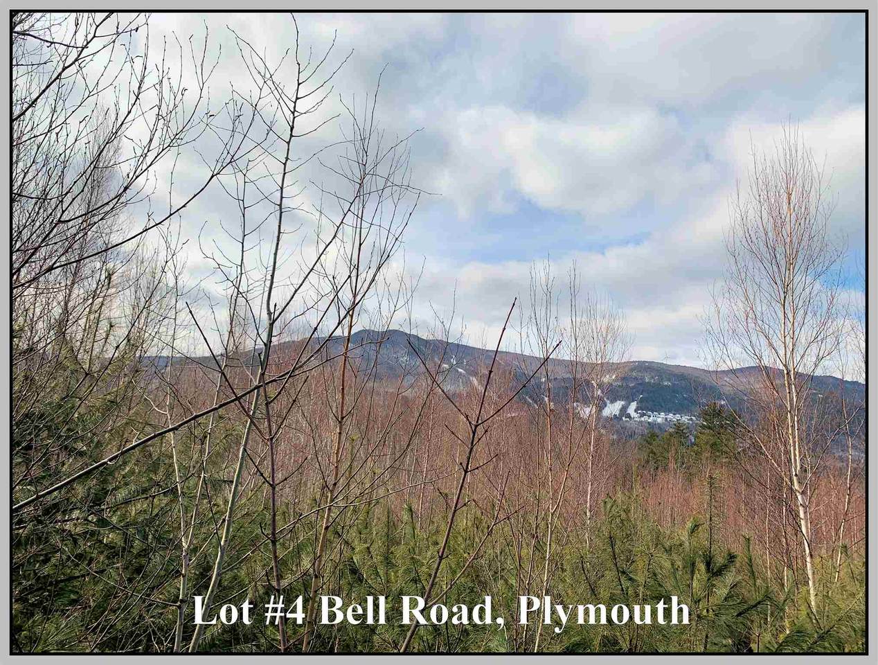 Lot #4 Bell Road - Photo 1