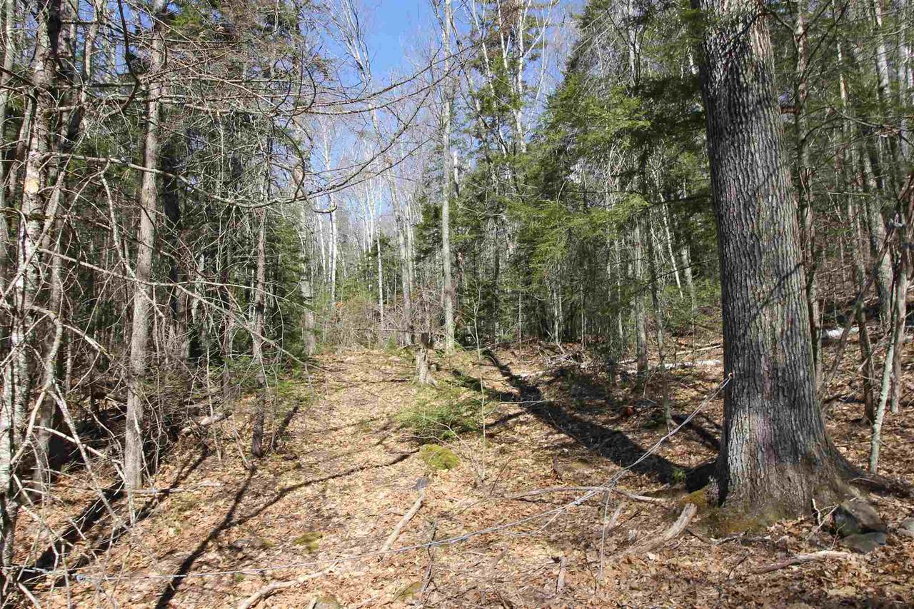 00 Tamarack Road - Photo 1