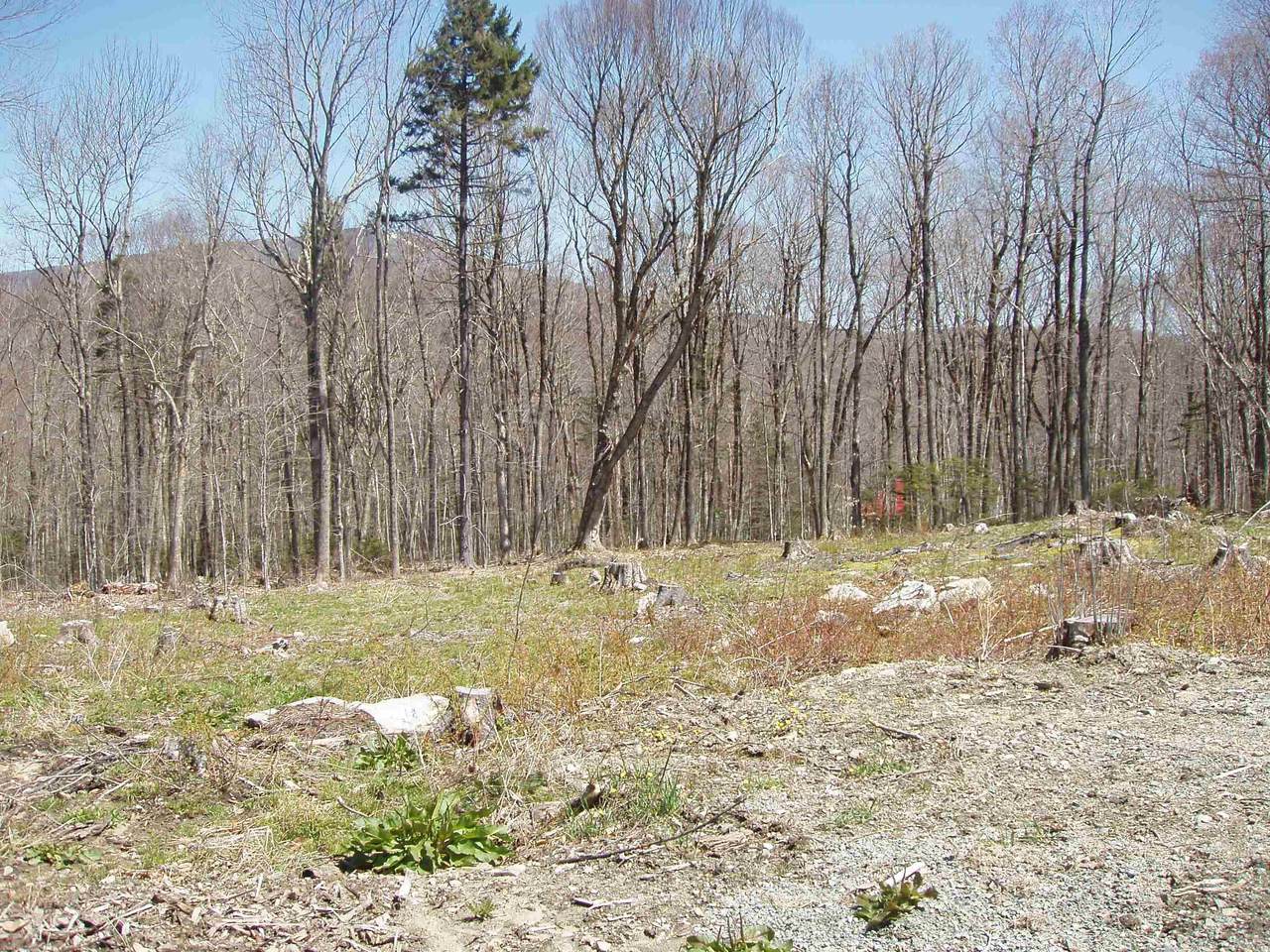 0 Moose Hollow Road - Photo 1