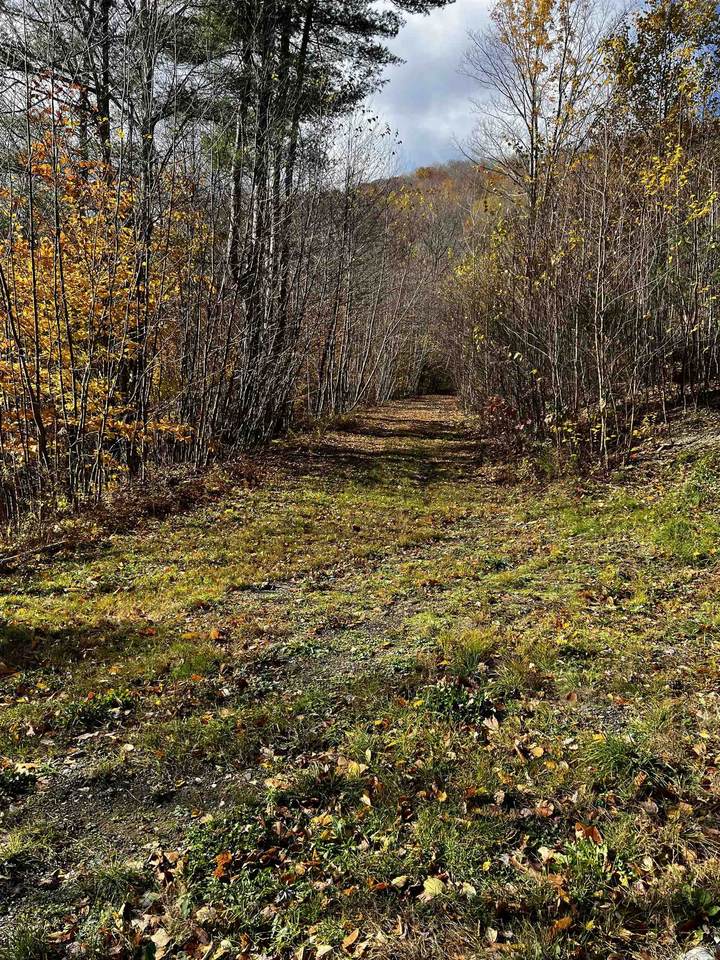 00 Zorn Drive - Photo 1