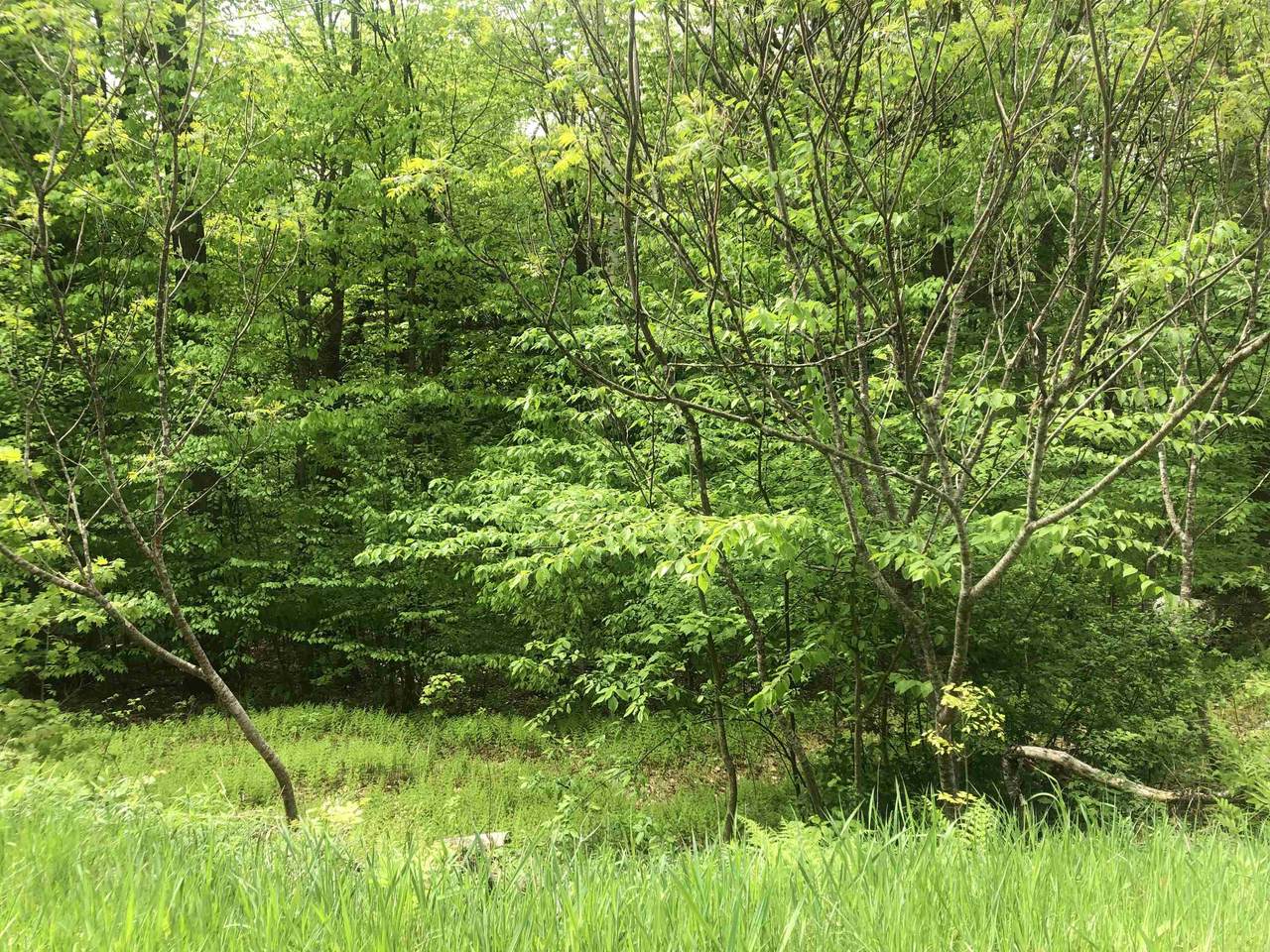 0 Kestrell Drive - Photo 1