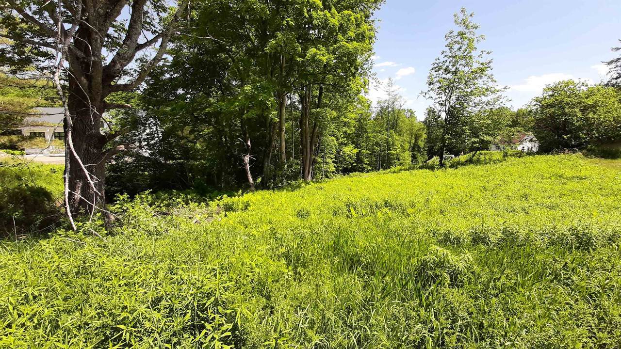 Lot 4 Lathrop Loop - Photo 1