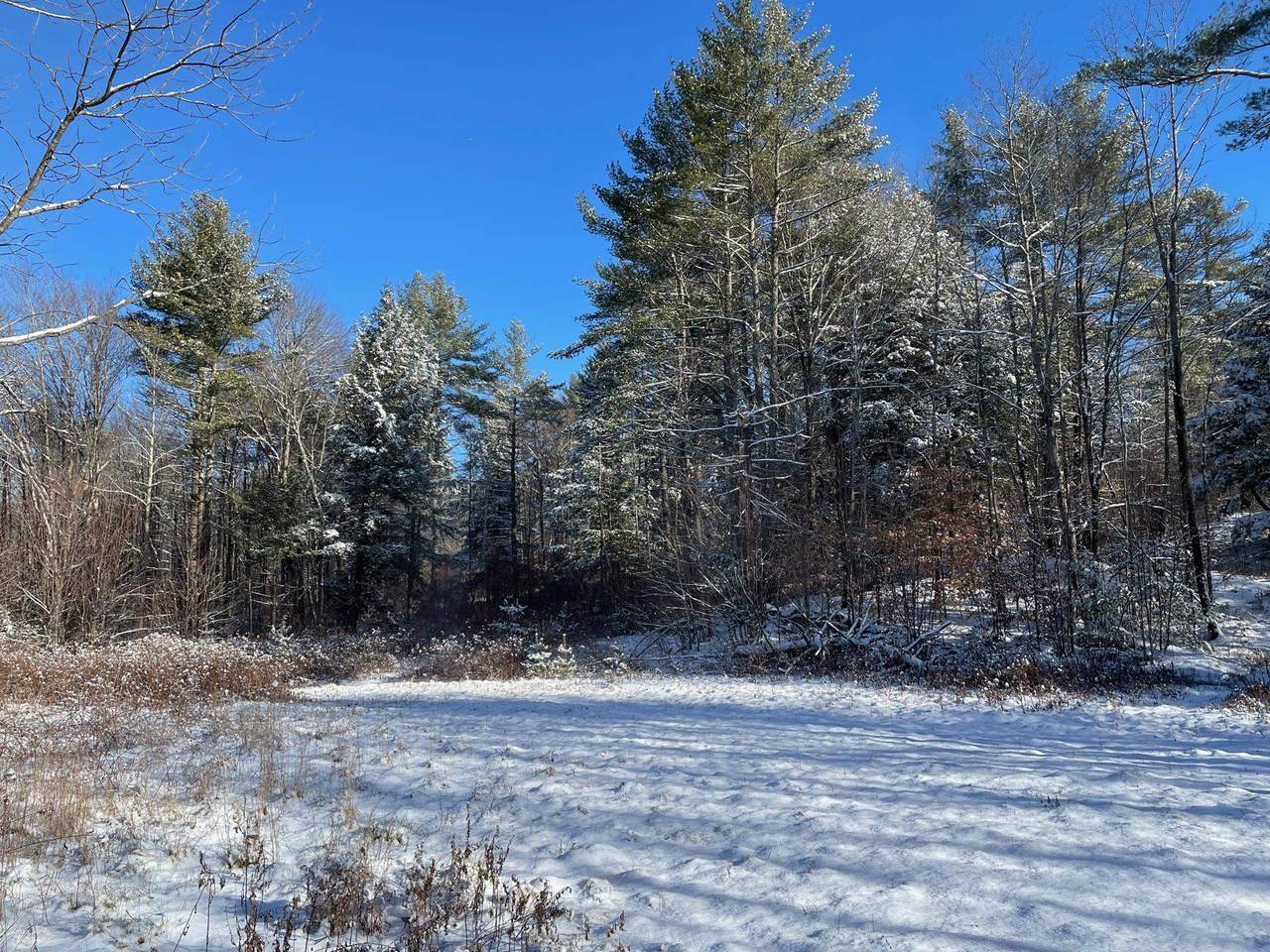 00 Vt Route 103 N - Photo 1