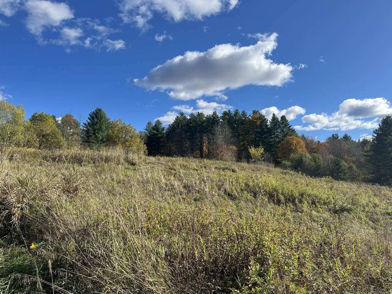 0 Old Farm Road - Photo 1