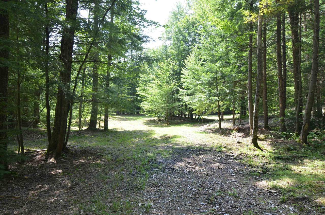 205 Shindagan Road - Photo 1