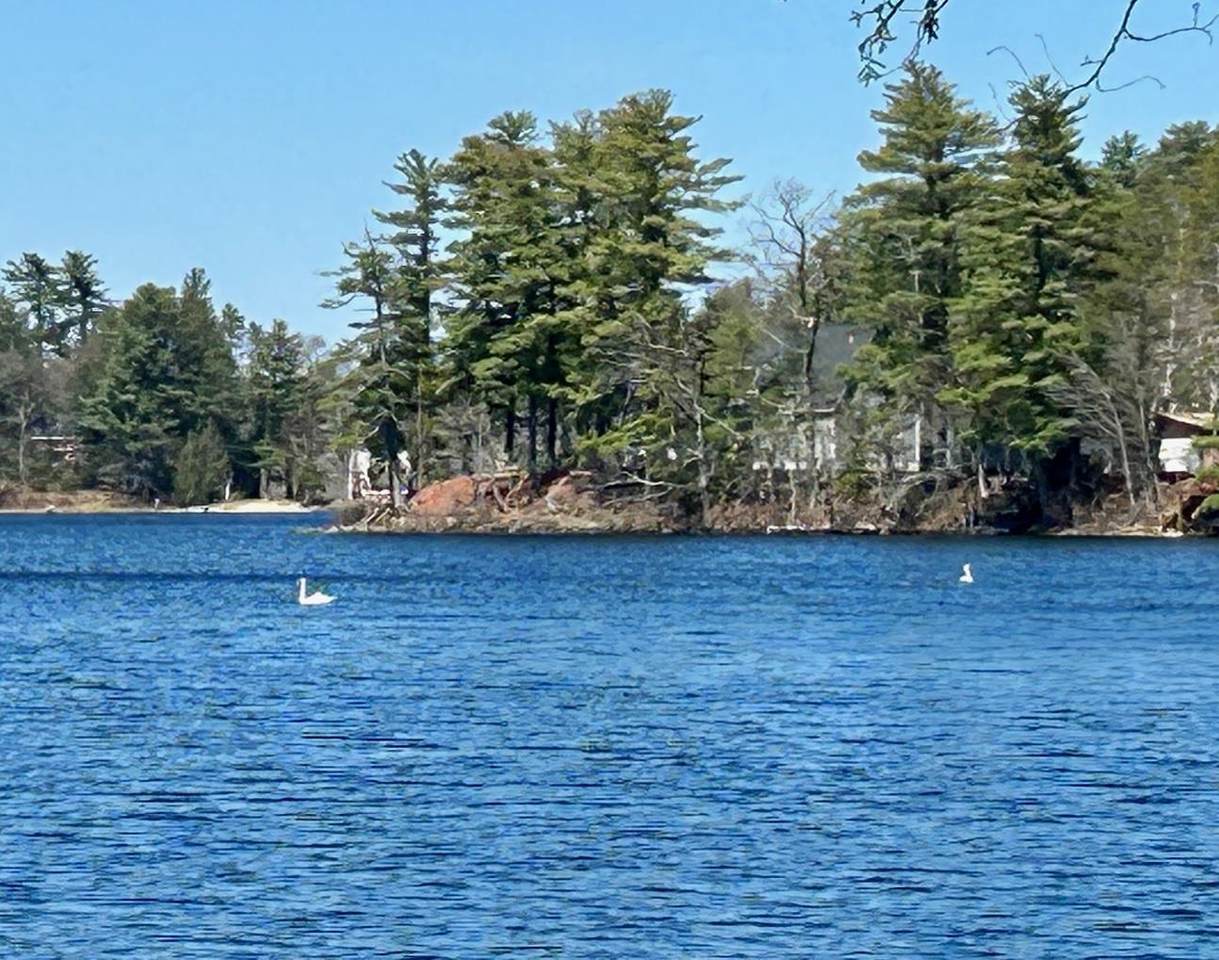 25 Wenmarks Road - Photo 1