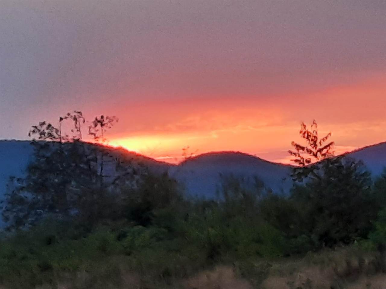 Lots 7 & 8 Kelsea Drive - Photo 1